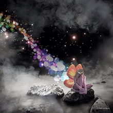 All you need is a little faith, trust and pixie dust